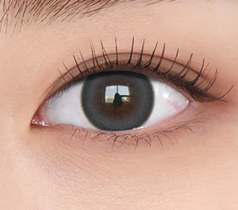 무드나잇 원데이 무드그레이